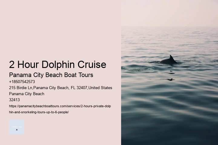 2 Hour Dolphin Cruise