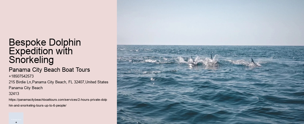 Dolphin Tales: Dolphin Mating Habits