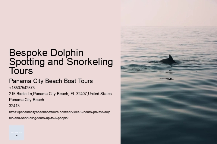 Bespoke Dolphin Spotting and Snorkeling Tours