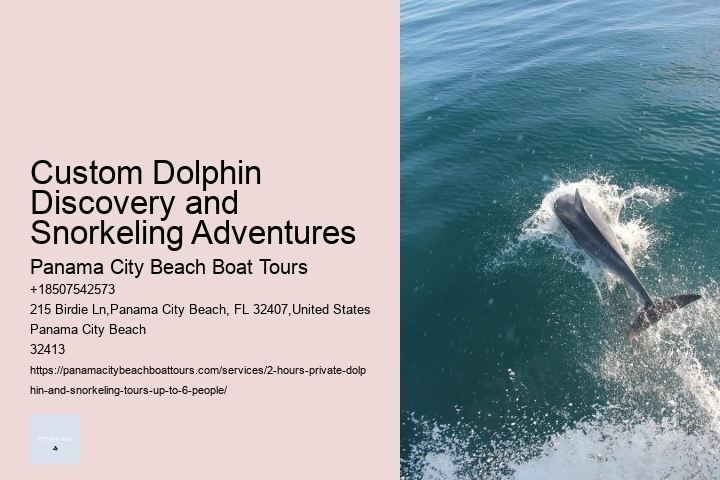 Secluded Dolphin Encounter and Snorkeling Experience