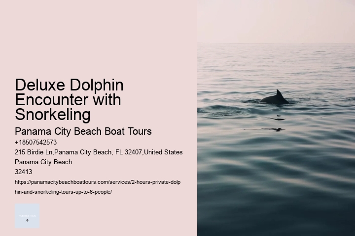 Deluxe Dolphin Encounter with Snorkeling