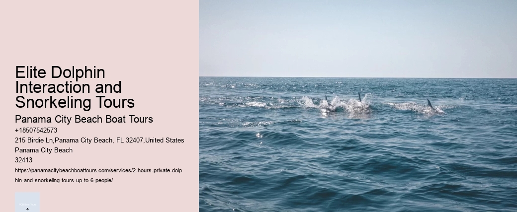 Dolphin Tours In Florida