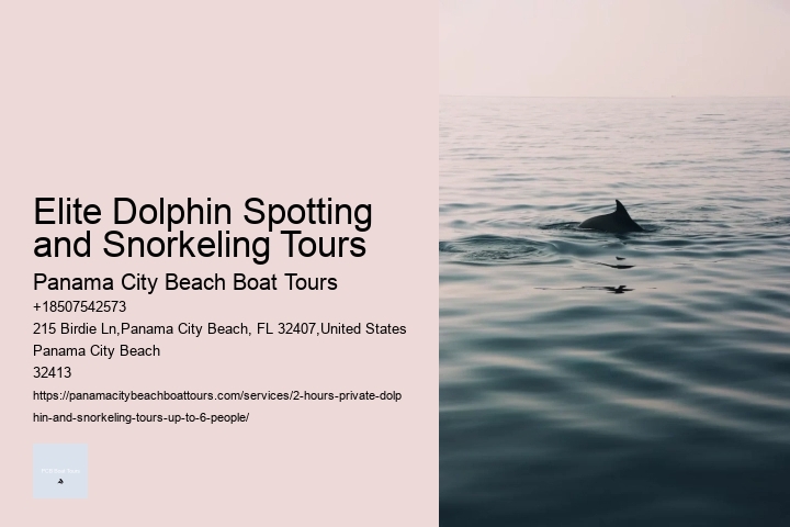 Elite Dolphin Spotting and Snorkeling Tours