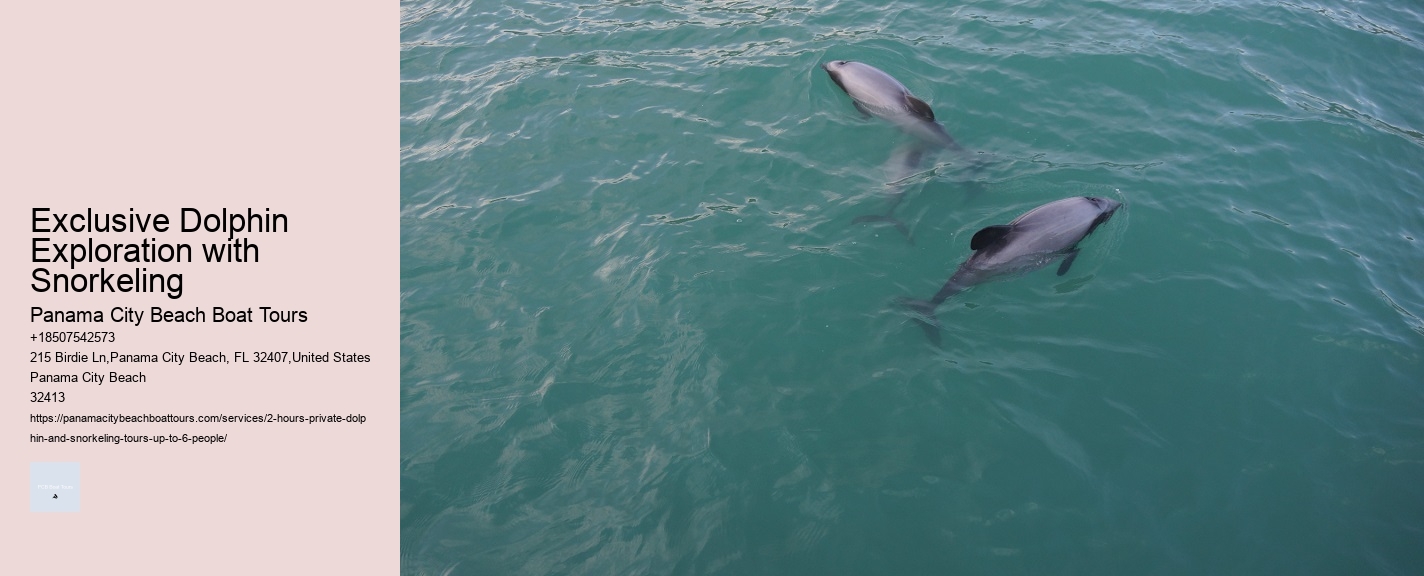 Exclusive Dolphin Exploration with Snorkeling