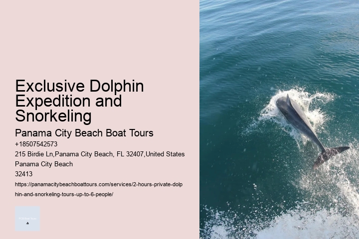 Hilton Head Island Dolphin Tours
