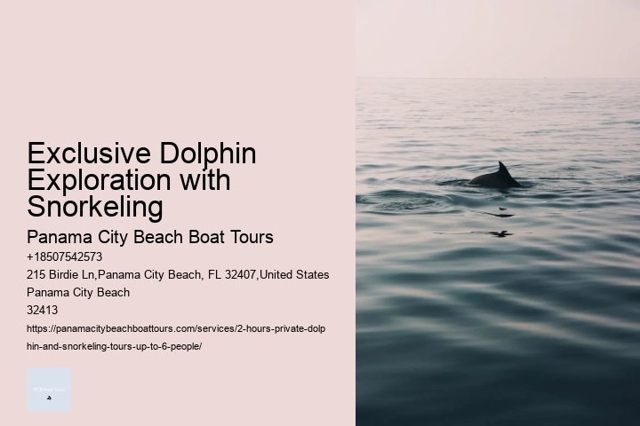 What Does Dolphin 3 6 Mean