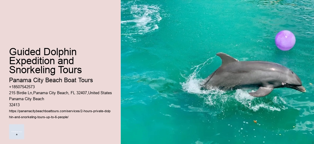 Tybee Island Dolphin Tours