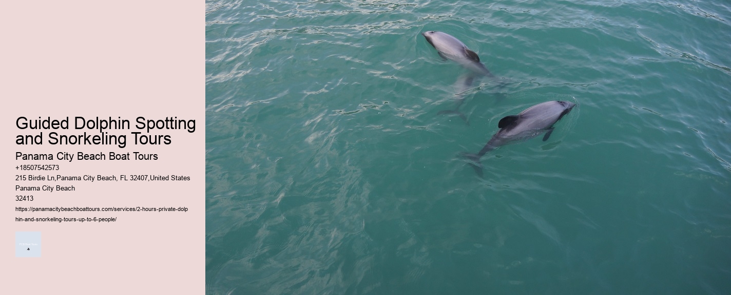 Guided Dolphin Spotting and Snorkeling Tours