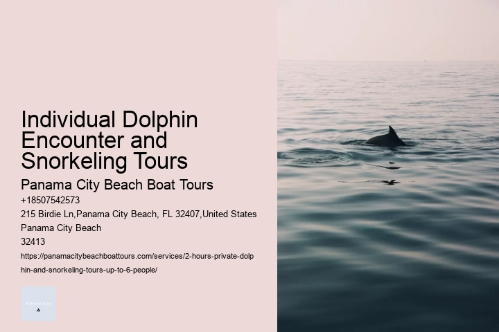Individual Dolphin Encounter and Snorkeling Tours