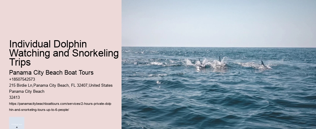 Dolphin Tours Beaufort Sc