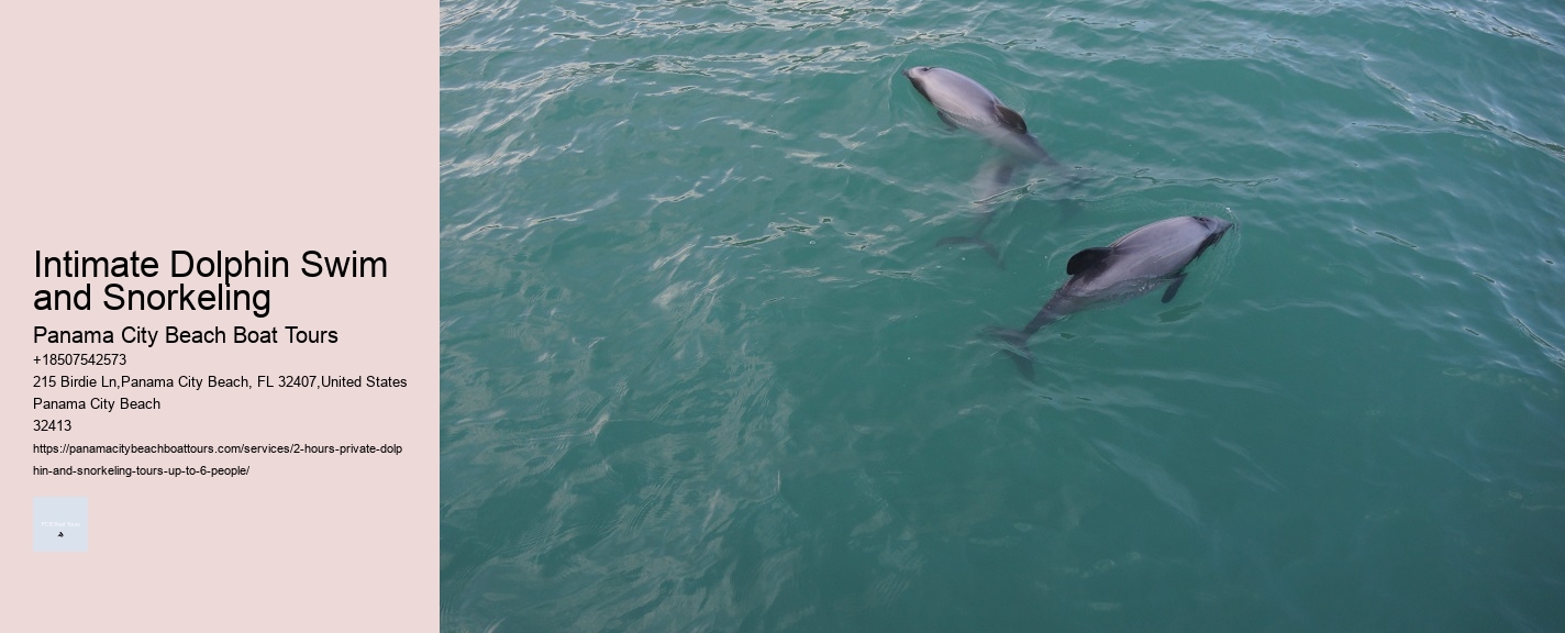 Intimate Dolphin Swim and Snorkeling
