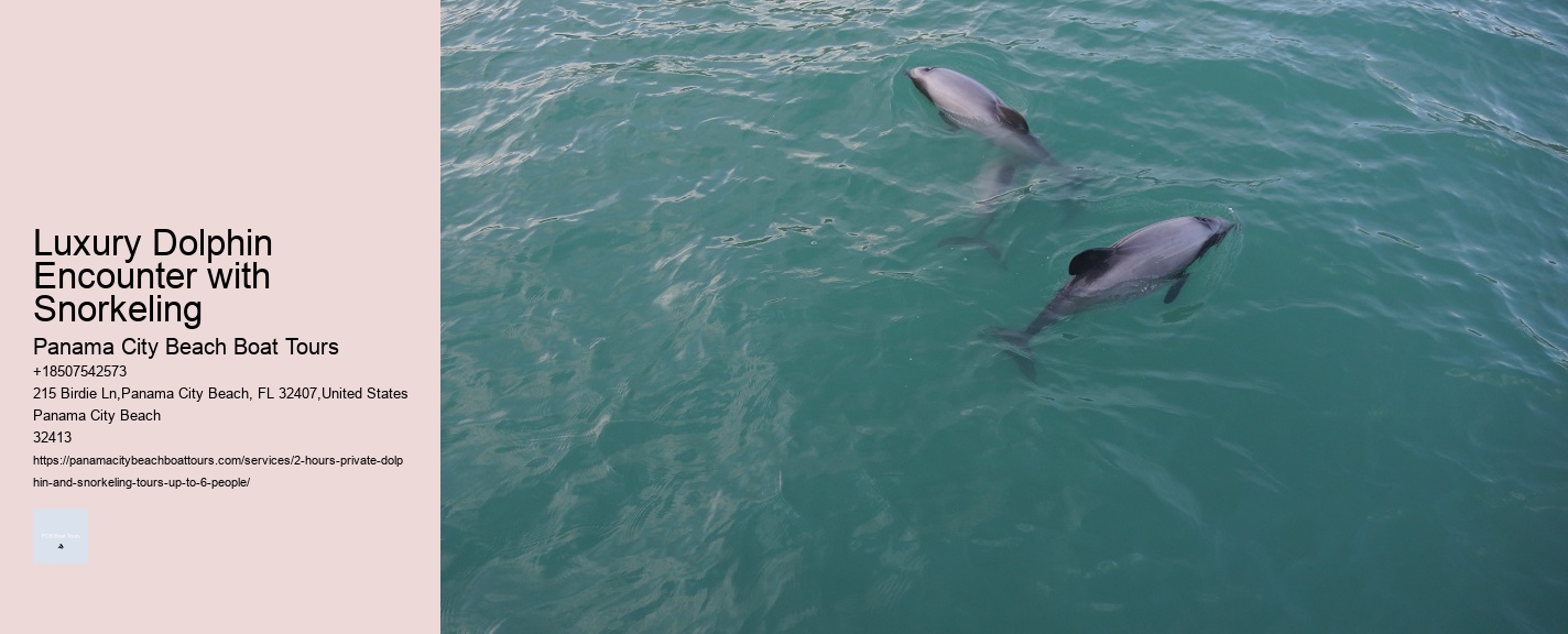 Luxury Dolphin Encounter with Snorkeling