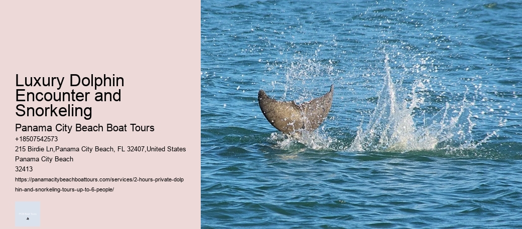 World's 8 Best Destinations For Dolphin Spotting