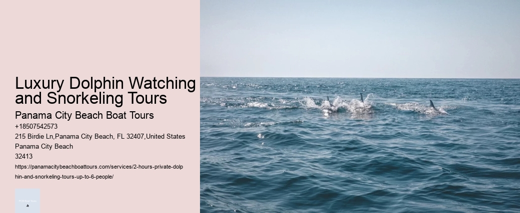 Custom Dolphin Swim and Snorkeling Trips