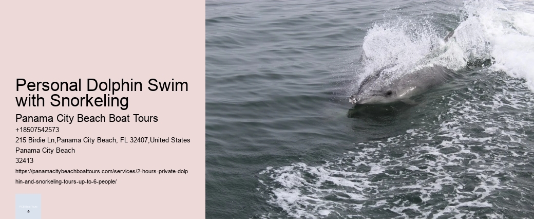 Dolphin Tours Jensen Beach