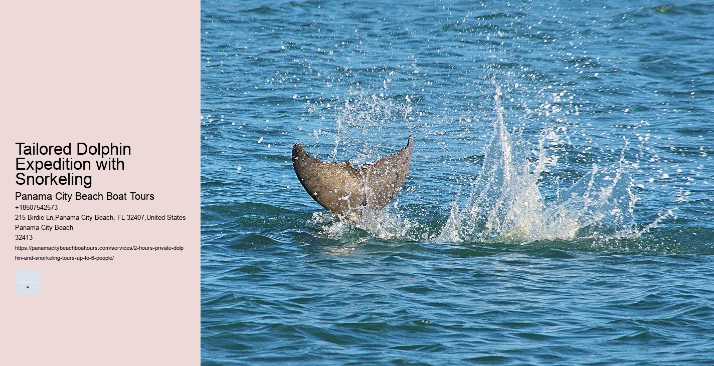 What Is The Best Month To Go Whale Watching