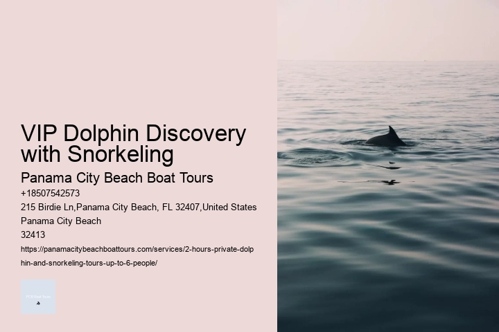 VIP Dolphin Discovery with Snorkeling