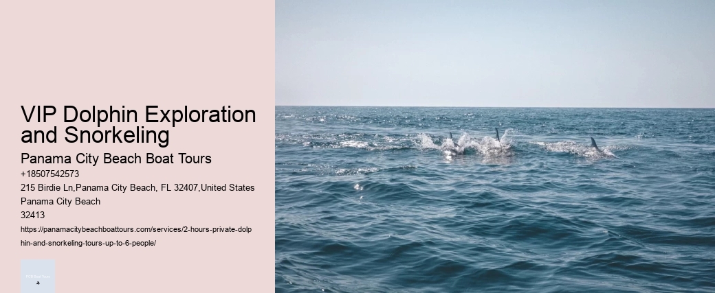 Do Dolphins Swim By Cruise Ships